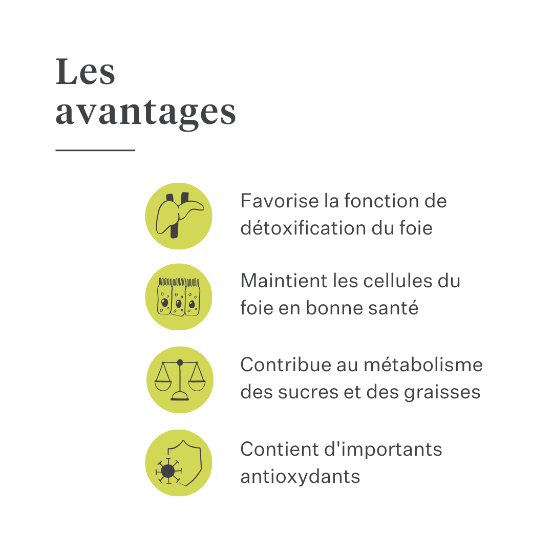 Detox&Drain détoxication du foie soutien hépatique pour chevaux et poneys santé du foie détoxification | localization: FR