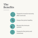 Natural turmeric curcuma longa supplement dog joints | localization: EN