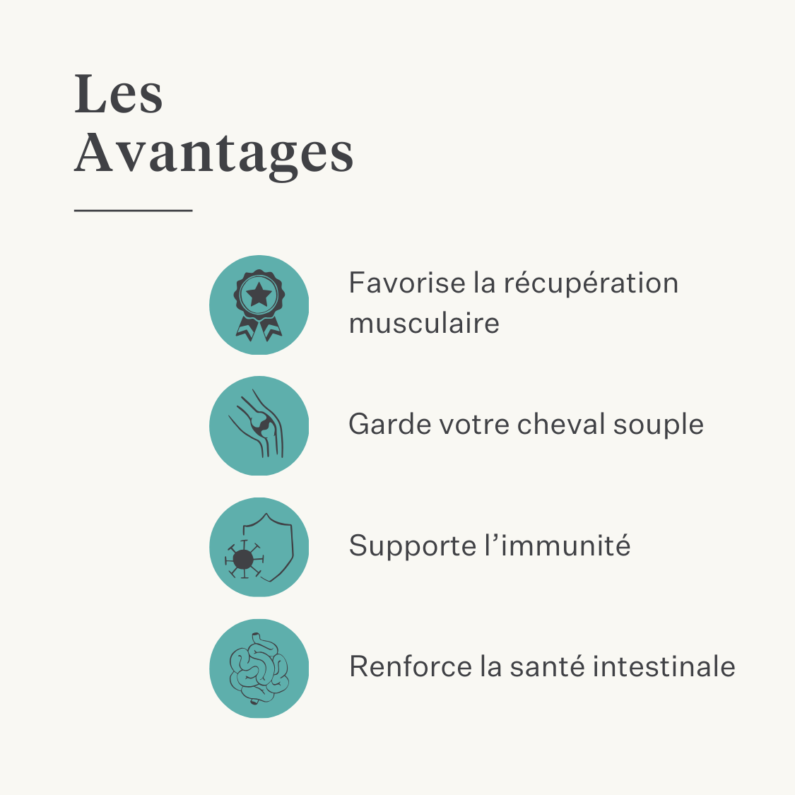 muscle muscle acidose supplément cheval poney immunité intestin peau | localization: FR