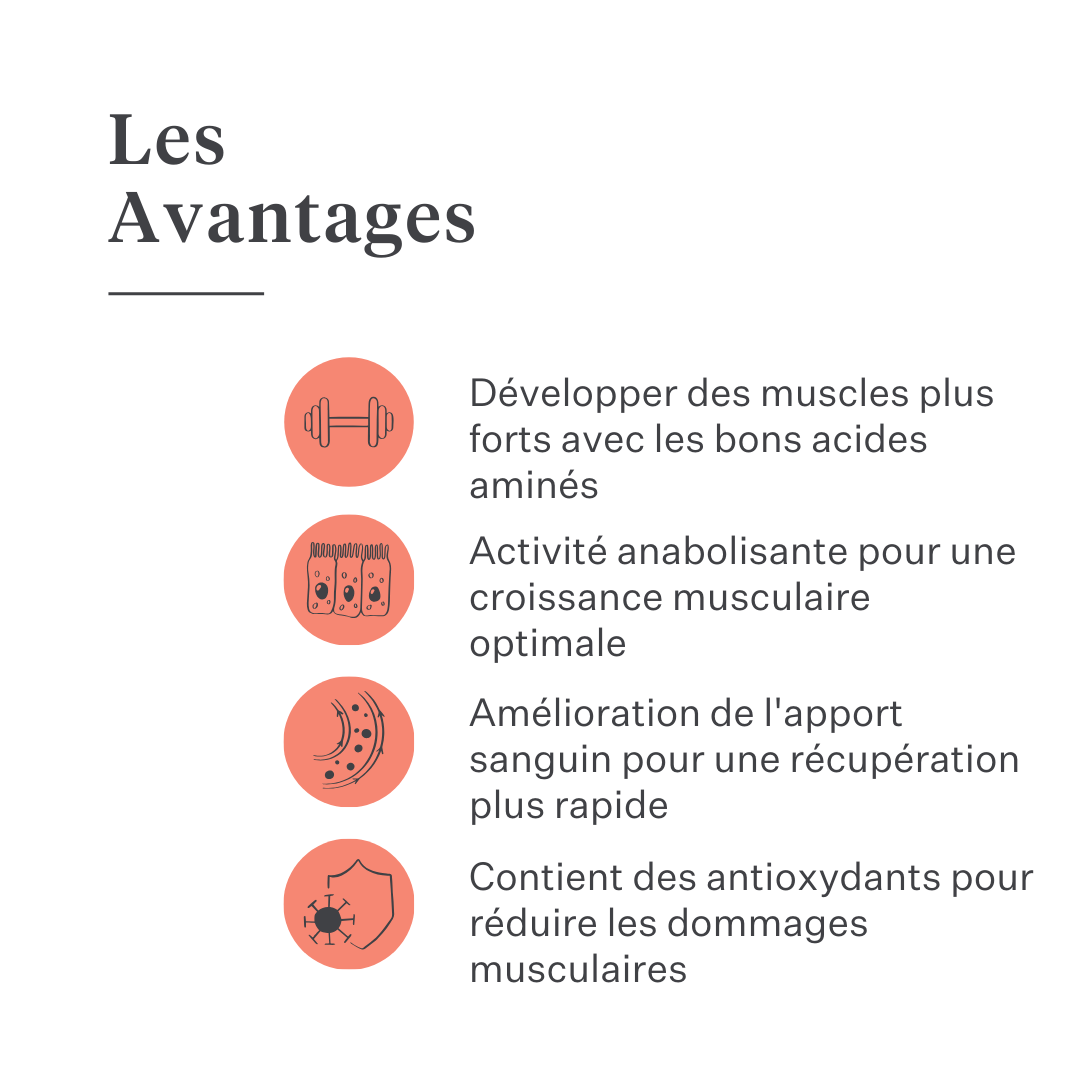Complément Body & Build pour chevaux, favorise le développement musculaire et la récupération, riche en acides aminés et ingrédients naturels, améliore la force et les performances. | localization: FR