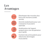 Complément Body & Build pour chevaux, favorise le développement musculaire et la récupération, riche en acides aminés et ingrédients naturels, améliore la force et les performances. | localization: FR