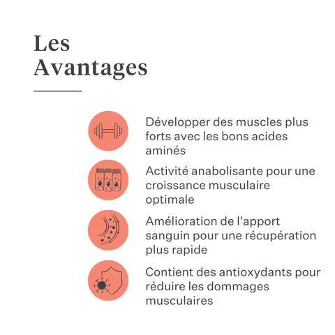 Complément Body & Build pour chevaux, favorise le développement musculaire et la récupération, riche en acides aminés et ingrédients naturels, améliore la force et les performances. | localization: FR