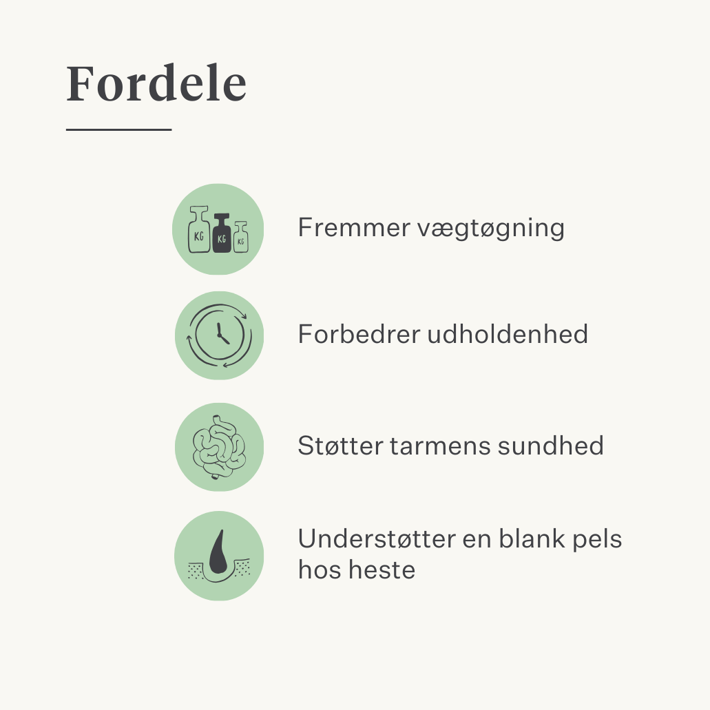 Supplement koldpresset olie til heste udholdenhed vægt muskler vitamin E hørfrøolie DHA EPA omega-3  | localization: DA