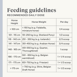 horse pony gut colic gas stomach ulcers probiotics prebiotics flaxseed diarrhea watery feces soft feces | localization: EN