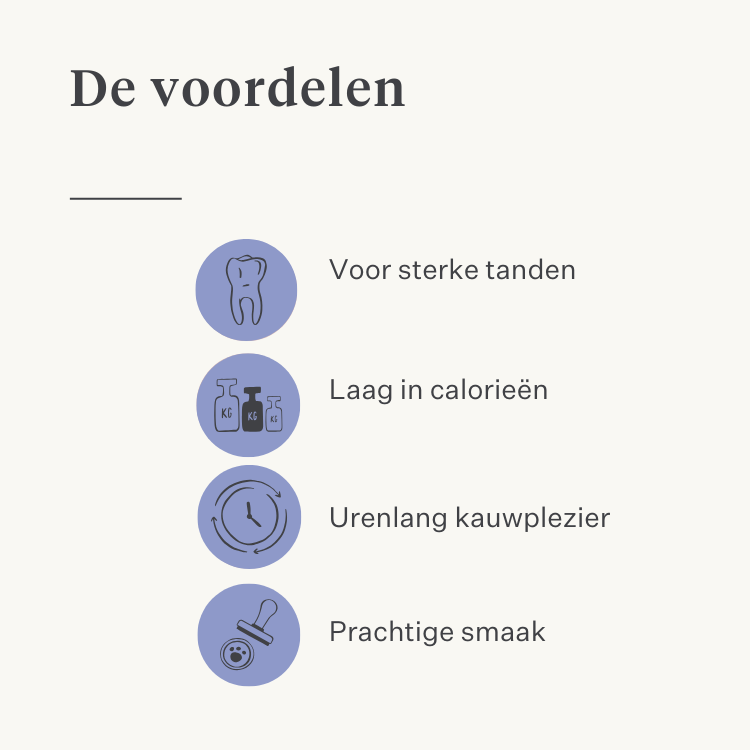 hond puppy kauwbot Himalaya kaas natuurlijk langdurig duurzaam tandgezondheid tandsteen plak lactosevrij eiwitrijk | localization: NL