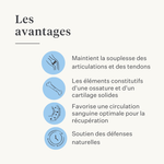 Complément naturel chien chiot articulations ligaments tendons muscles | localization: FR