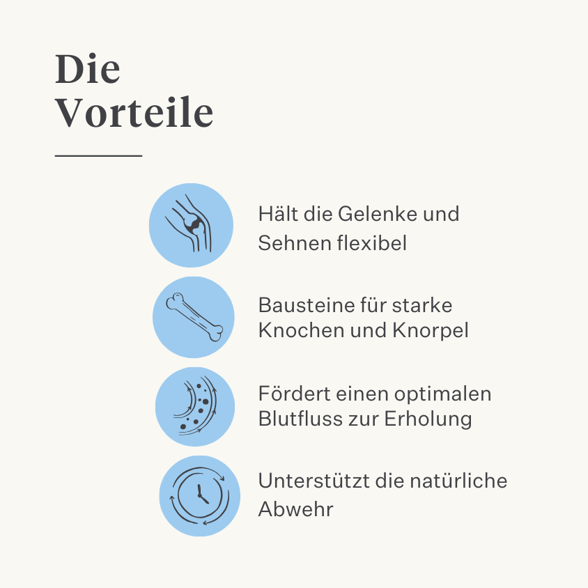 Natürliche Ergänzung Hund Welpe Gelenke Bänder Sehnen Muskeln | localization: DE