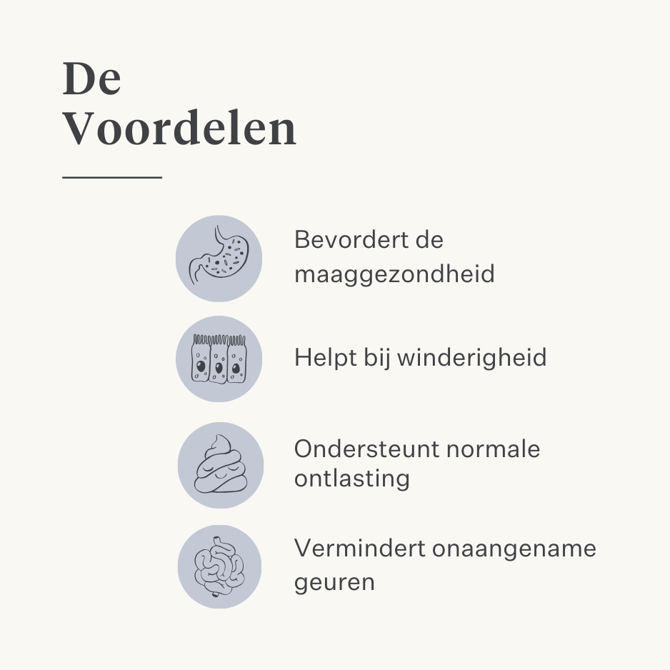 Veganistisch hondensupplement voor de maag, spijsvertering, winderigheid, probiotica, prebiotica, spijsverteringsenzymen  | localization: NL