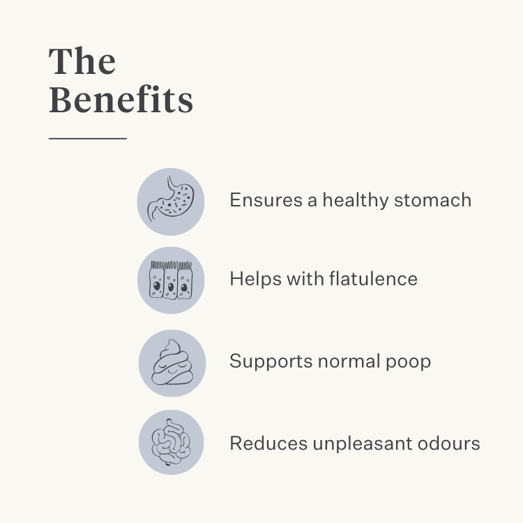 vegan dog supplement gut stomach digestion farts probiotics prebiotics digestive enzymes | localization: EN