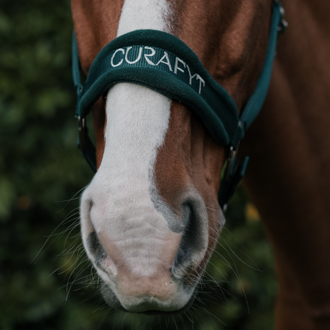 Curafyt Halster