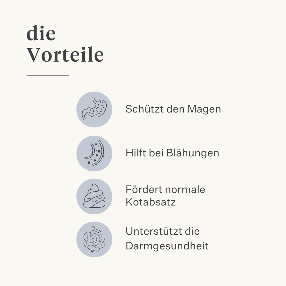 Pferd, Pony, Darmkolik, Gas, Magengeschwüre, Probiotika, Präbiotika, Leinsamen, Durchfall, wässriger Stuhl, weicher Stuhl  | localization: DE
