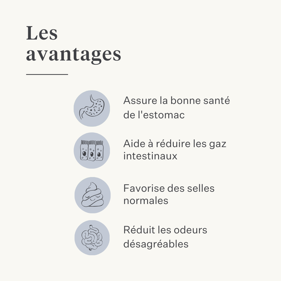 Supplément végan pour chien pour l'estomac, la digestion, les flatulences, probiotiques, prébiotiques, enzymes digestives  | localization: FR