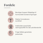 hoppe føl hest pony frugtbarhed livmoder brunst hoppeadfærd cyklus i brunst hestehormonbalance | localization: DA