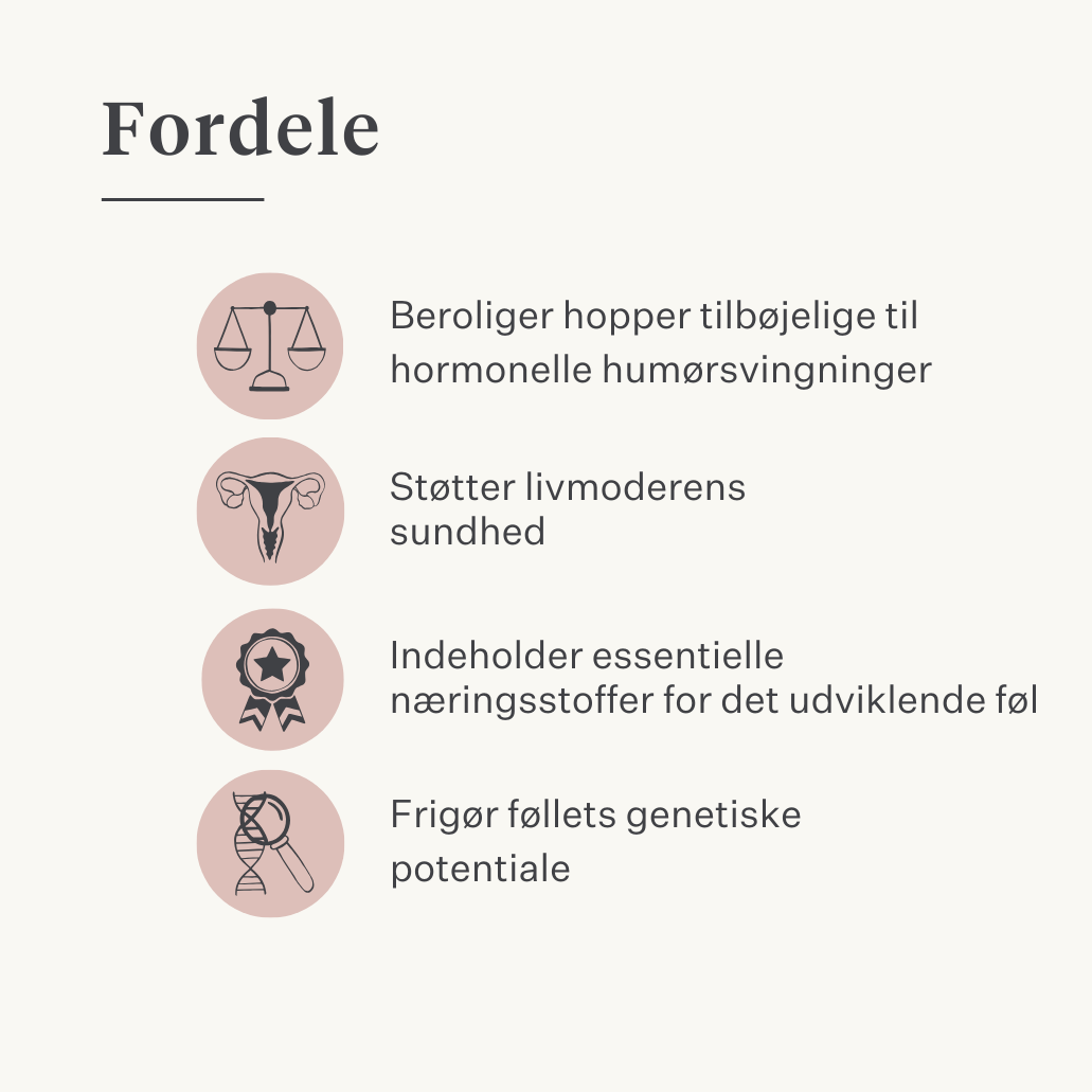 hoppe føl hest pony frugtbarhed livmoder brunst hoppeadfærd cyklus i brunst hestehormonbalance | localization: DA
