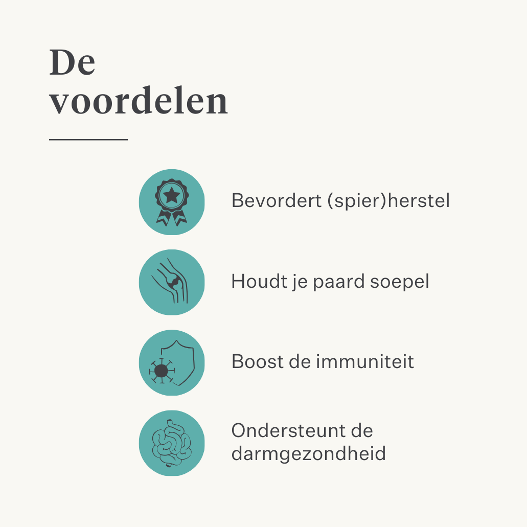spieren spierverzuring supplement paard pony immuniteit darm huid | localization: NL