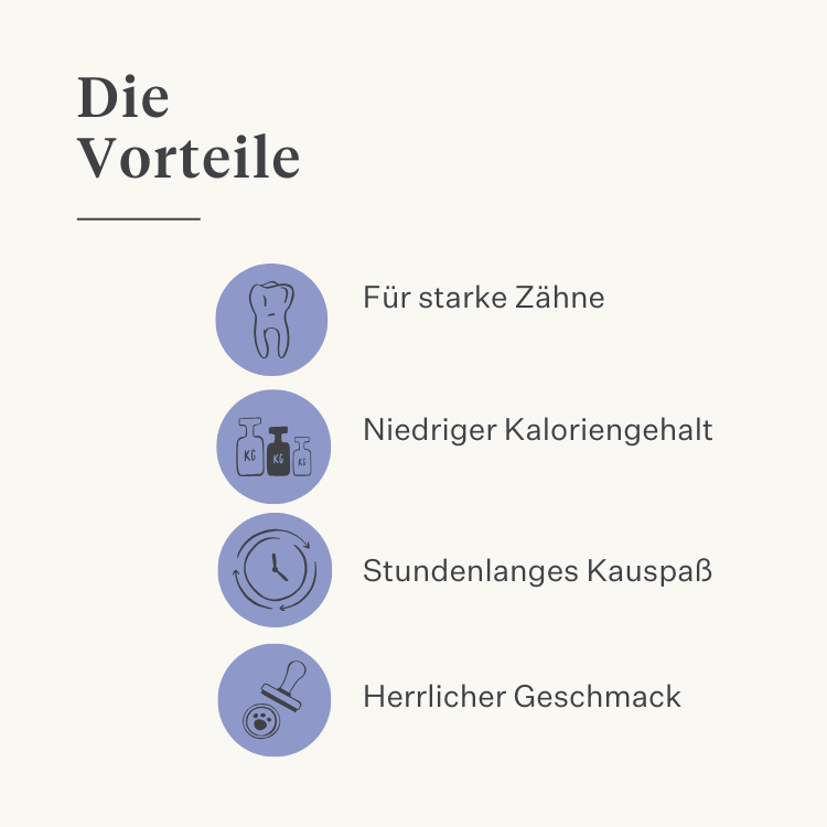 Hund Welpe Kauknochen Himalaya-Käse natürlich langanhaltend langlebig Zahngesundheit Zahnstein Plaque laktosefrei proteinreich | localization: DE