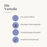 Hund Welpe Kauknochen Himalaya-Käse natürlich langanhaltend langlebig Zahngesundheit Zahnstein Plaque laktosefrei proteinreich | localization: DE