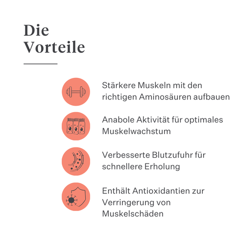 Body & Build Ergänzungsfuttermittel für Pferde, unterstützt Muskelaufbau und Regeneration, reich an Aminosäuren und natürlichen Inhaltsstoffen, verbessert Kraft und Leistung. | localization: DE