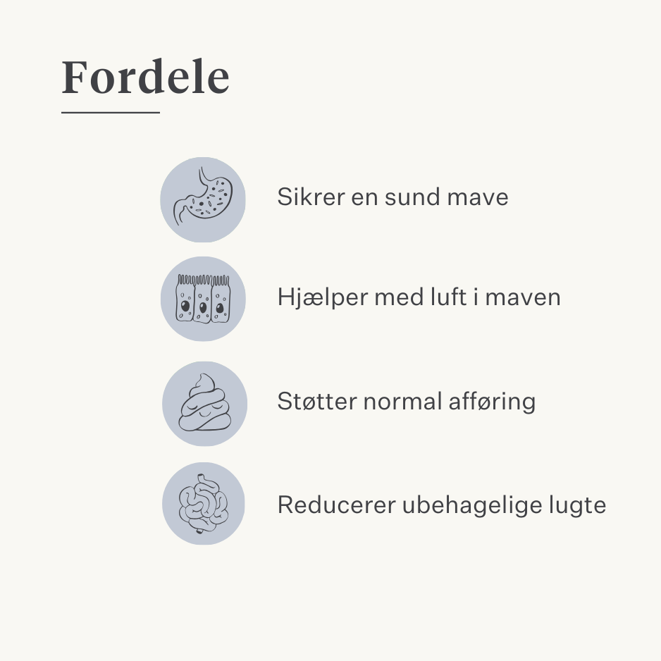 Vegansk hundetilskud til mave, fordøjelse, prutter, probiotika, præbiotika, fordøjelsesenzymer | localization: DA