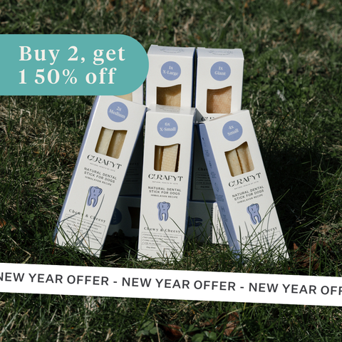 Chewy & Cheesy Himalayan Dental Stick