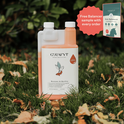 Restore & Revive | Curcumin Liquid