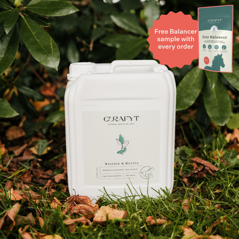 Restore & Revive | Curcumin Liquid