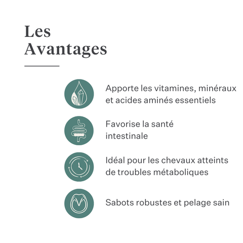 Este Balancer complément alimentaire pour chevaux, CMV développé par la vétérinaire équine Dr. Sara Torfs, complète les rations à base de fourrage avec vitamines, minéraux et graisses saines pour la brillance du poil, des sabots solides et une bonne santé digestive. | localization: FR