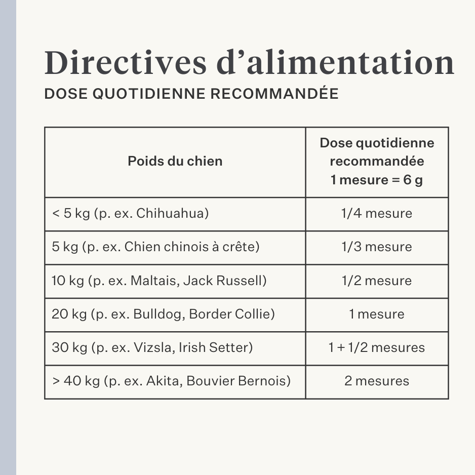 Supplément végan pour chien pour l'estomac, la digestion, les flatulences, probiotiques, prébiotiques, enzymes digestives  | localization: FR