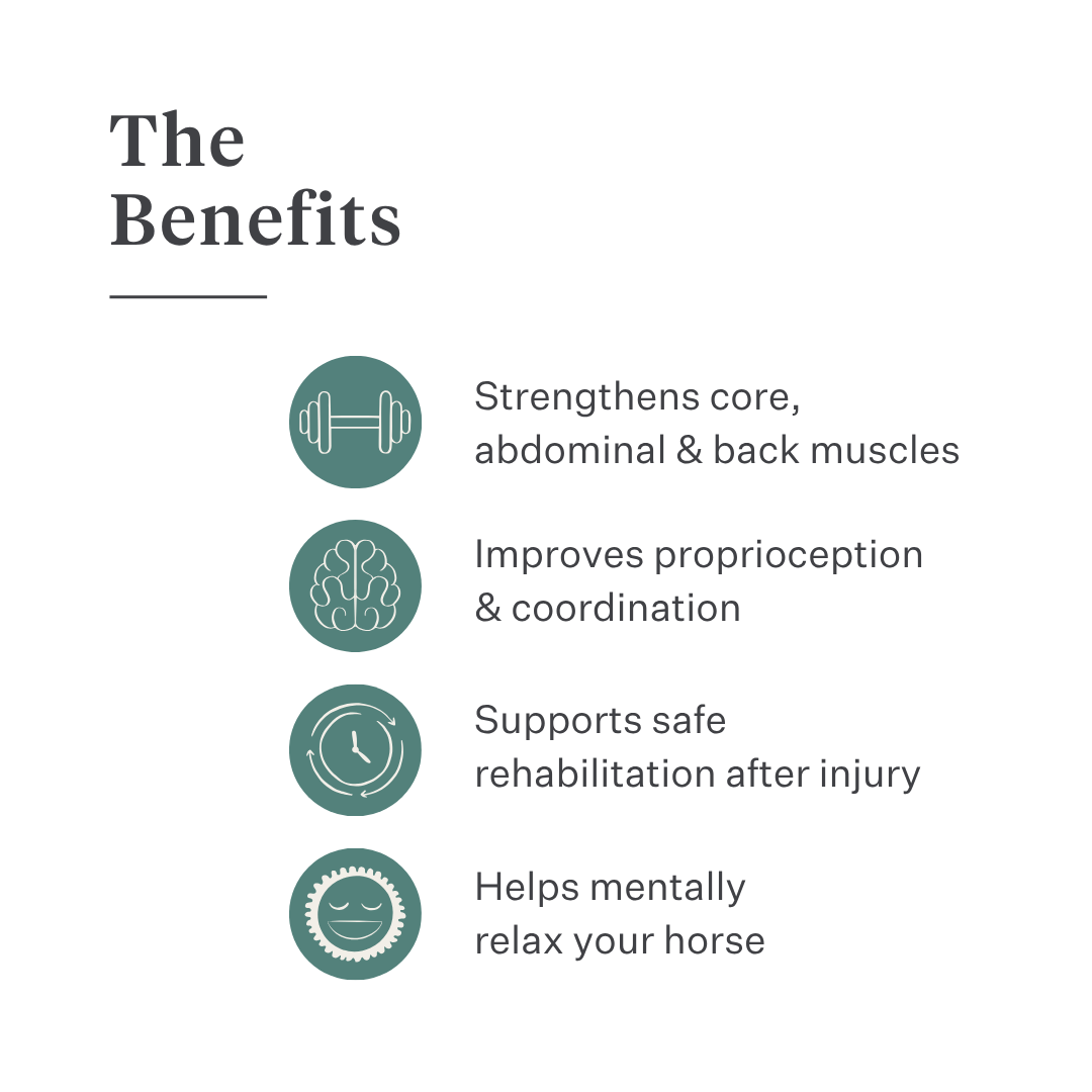 Equimove Balance Pads balance training core stability rehabilitation horse training proprioception | localization: EN