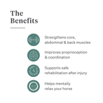 Equimove Balance Pads balance training core stability rehabilitation horse training proprioception | localization: EN