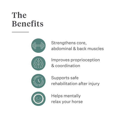 Equimove Balance Pads balance training core stability rehabilitation horse training proprioception | localization: EN