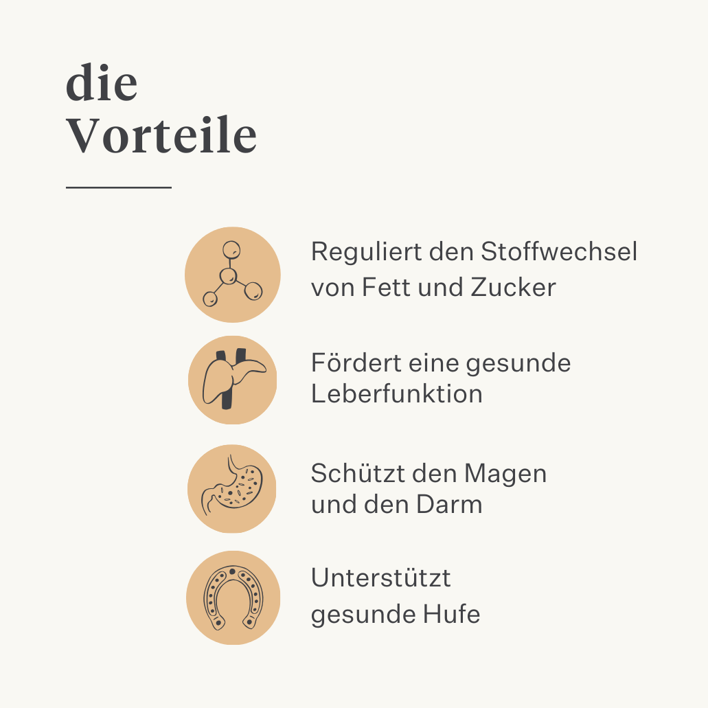 Steady&Stable Curafyt Ergänzung für Pferde und Ponys, Hufrehe, empfindliche Hufe, Insulin, Glukose, PPID, Cushing-Syndrom | localization: DE