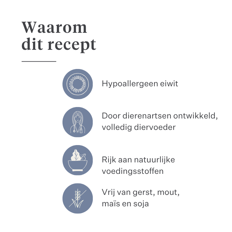Imby Sensitive hondenvoer, volledig droogvoer op basis van insecten voor honden met voedselallergieën, ondersteunt de spijsvertering en huidgezondheid, graanvrij met prebiotica en natuurlijke ingrediënten, uitgebalanceerde formule ontwikkeld door dierenartsen, zeer smakelijke brok. | localization: NL