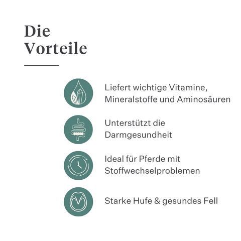 Este Balancer Mineralfutter für Pferde, entwickelt von der Pferdetierärztin Dr. Sara Torfs, ergänzt Raufutterrationen mit essenziellen Vitaminen, Mineralstoffen und gesunden Fetten für glänzendes Fell, starke Hufe und eine gesunde Verdauung. | localization: DE