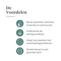 Este Balancer supplement voor paarden, ontwikkeld door paardenarts Dr. Sara Torfs, vult ruwvoerrantsoenen aan met essentiële vitaminen, mineralen en gezonde vetten voor een glanzende vacht, sterke hoeven en optimale darmgezondheid. | localization: NL