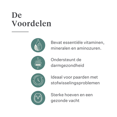 Este Balancer supplement voor paarden, ontwikkeld door paardenarts Dr. Sara Torfs, vult ruwvoerrantsoenen aan met essentiële vitaminen, mineralen en gezonde vetten voor een glanzende vacht, sterke hoeven en optimale darmgezondheid. | localization: NL