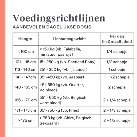 Body & Build supplement voor paarden, ondersteunt spieropbouw en herstel, rijk aan aminozuren en natuurlijke ingrediënten, verbetert kracht en prestaties. | localization: NL