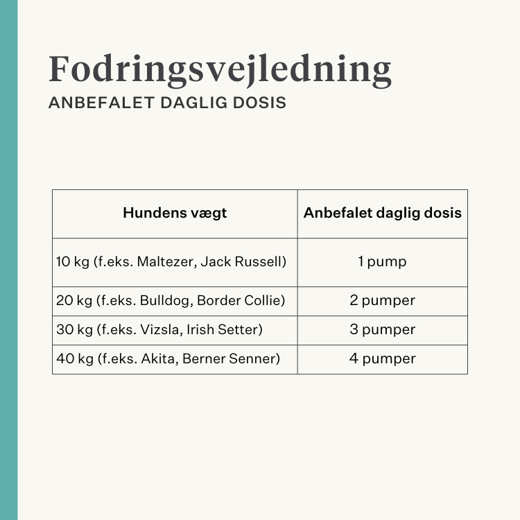 Natur kosttilskud med gurkemeje curcuma longa til hundeled | localization: DA