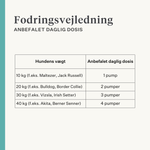 Natur kosttilskud med gurkemeje curcuma longa til hundeled | localization: DA