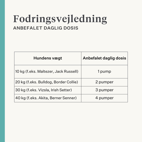 Natur kosttilskud med gurkemeje curcuma longa til hundeled | localization: DA