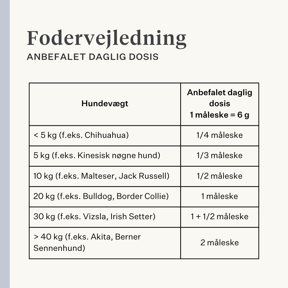 Vegansk hundetilskud til mave, fordøjelse, prutter, probiotika, præbiotika, fordøjelsesenzymer | localization: DA