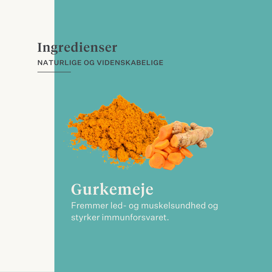 immunitet hud tarm gurkemeje curcumin hest pony | localization: DA