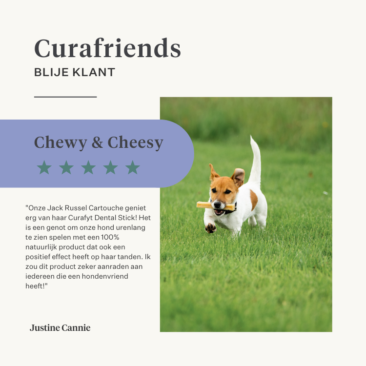hond puppy kauwbot Himalaya kaas natuurlijk langdurig duurzaam tandgezondheid tandsteen plak lactosevrij eiwitrijk | localization: NL