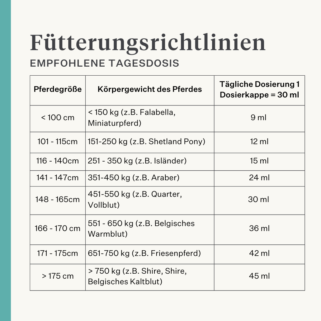 Ergänzung Immunität Muskeln Haut Darm Kurkuma Curcumin Pferd Pony | localization: DE