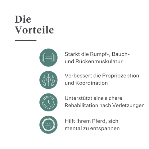 Equimove Balance Pads Gleichgewichtstraining Rumpfstabilität Rehabilitation Propriozeption Pferd Training | localization: DE