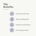 horse pony gut colic gas stomach ulcers probiotics prebiotics flaxseed diarrhea watery feces soft feces | localization: EN