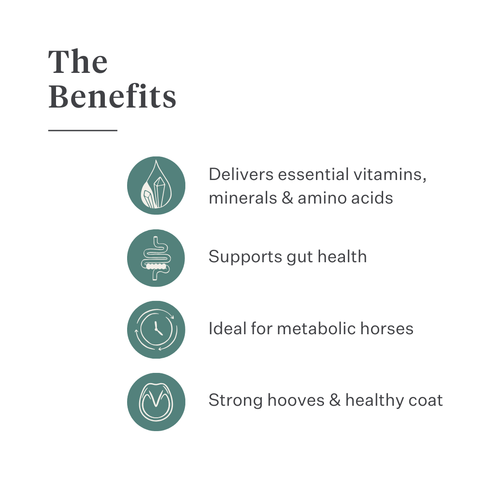 Este Balancer horse feed balancer supplement, developed by equine veterinarian Dr. Sara Torfs, completes forage-based diets with essential vitamins, minerals and healthy fats to support coat shine, strong hooves, muscle function and gut health. | localization: EN