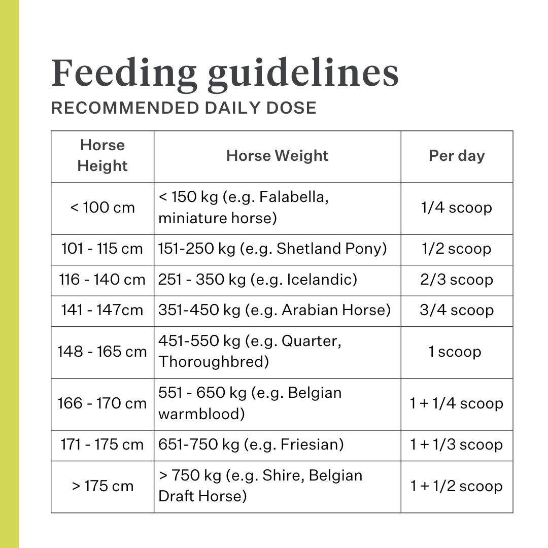 Detox&Drain liver detox liver support horses pony liver health detoxification | localization: EN