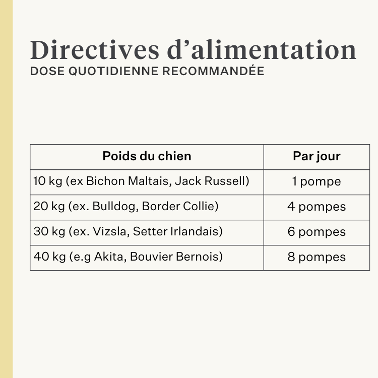 chien, chiot, huile de saumon, oméga-3, peau qui gratte, peau sèche, articulations, immunité, supplément, complément alimentaire | localization: FR