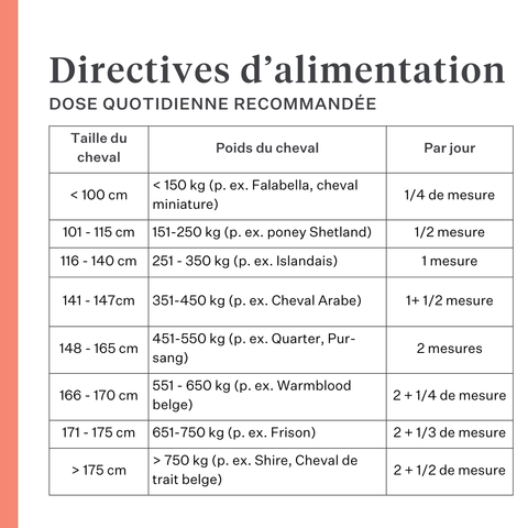 Complément Body & Build pour chevaux, favorise le développement musculaire et la récupération, riche en acides aminés et ingrédients naturels, améliore la force et les performances. | localization: FR